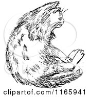 Clipart Of A Retro Vintage Black And White Cat 3 Royalty Free Vector Illustration