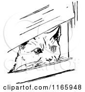 Poster, Art Print Of Retro Vintage Black And White Cat Peeking Through Boards