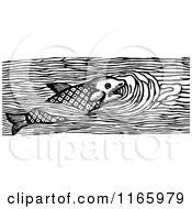 Clipart Of A Retro Vintage Black And White Swimming Fish Royalty Free Vector Illustration