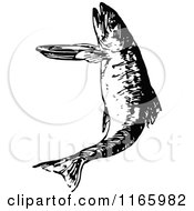 Clipart Of A Retro Vintage Black And White Leaping Fish Royalty Free Vector Illustration