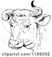 Clipart Of A Retro Vintage Black And White Bull With Curly Horns Royalty Free Vector Illustration