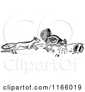 Clipart Of A Retro Vintage Black And White Fox Stalking A Chicken Royalty Free Vector Illustration
