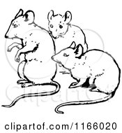 Clipart Of A Retro Vintage Black And White Trio Of Mice Royalty Free Vector Illustration by Prawny Vintage