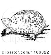 Clipart Of A Retro Vintage Black And White Tortoise Royalty Free Vector Illustration