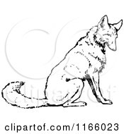 Clipart Of A Retro Vintage Black And White Sitting Wolf Royalty Free Vector Illustration