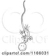 Clipart Of A Retro Vintage Black And White Lizard Blowing A Bubble Royalty Free Vector Illustration