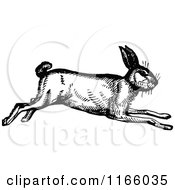 Clipart Of A Retro Vintage Black And White Running Rabbit Royalty Free Vector Illustration