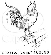 Poster, Art Print Of Retro Vintage Black And White Rooster On A Wall