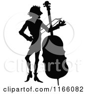 Silhouetted Male Musician Standing With A Cello