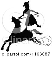 Poster, Art Print Of Silhouetted Woman Standing On A Horse