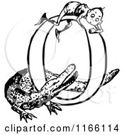 Poster, Art Print Of Retro Vintage Black And White Letter O With A Boy And Crocodile