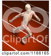 Poster, Art Print Of Runners Body With Visible Skeleton And Muscles On A Track