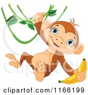 Poster, Art Print Of Cute Monkey Swinging From A Vine With A Banana In Hand