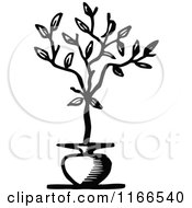 Retro Vintage Black And White Potted Tree