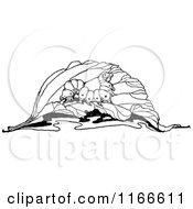 Clipart Of A Retro Vintage Black And White Caterpillar On A Leaf Royalty Free Vector Illustration