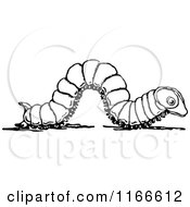 Clipart Of A Retro Vintage Black And White Caterpillar Royalty Free Vector Illustration by Prawny Vintage
