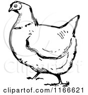 Clipart Of A Retro Vintage Black And White Plump Hen Royalty Free Vector Illustration