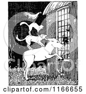 Poster, Art Print Of Retro Vintage Black And White Stacked Animals Peeking In A Window