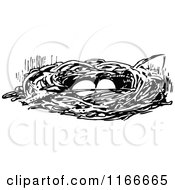 Poster, Art Print Of Retro Vintage Black And White Bird Nest With Eggs