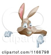 Cartoon Of A Happy Brown Bunny Over A Sign Pointing Down Royalty Free Vector Clipart