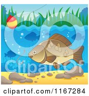 Poster, Art Print Of River Fish And Fishing Hook And Bobber 2