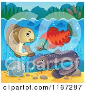 Poster, Art Print Of River Fish Underwater 2