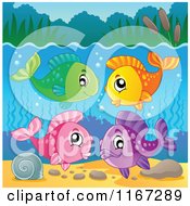 Poster, Art Print Of Group Of Colorful Freshwater Fish