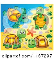 Poster, Art Print Of Sea Turtle And Tortoises On A Beach