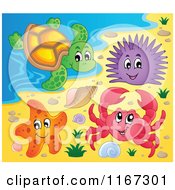 Poster, Art Print Of Crab Starfish Sea Urchin And Turtle On A Beach