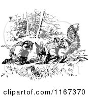 Poster, Art Print Of Retro Vintage Black And White Digging Fox And Raccoon
