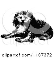 Clipart Of A Retro Vintage Black And White Dog Laying Royalty Free Vector Illustration