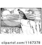 Retro Vintage Black And White Condor On A Cliff