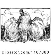 Poster, Art Print Of Retro Vintage Black And White Boy Riding On A Mammoth