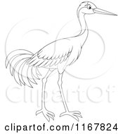 Poster, Art Print Of Outlined Sarus Crane Bird