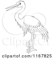 Poster, Art Print Of Standing Outlined Heron Or Egret