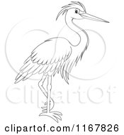 Poster, Art Print Of Outlined Standing Heron