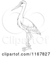 Poster, Art Print Of Standing Outlined Stork