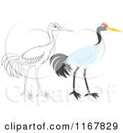 Poster, Art Print Of Colored And Outlined Sarus Crane Bird