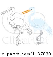 Poster, Art Print Of Standing Outlined And White Heron Or Egret