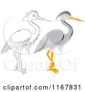 Poster, Art Print Of Colored And Outlined Standing Gray Heron