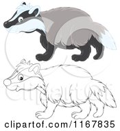 Poster, Art Print Of Cute Outlined And Colored Badger Walking In Profile