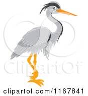 Standing Gray Heron