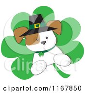 Poster, Art Print Of St Patricks Day Irish Puppy On A Shamrock