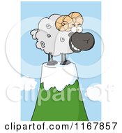 Poster, Art Print Of Grinning Black Ram On A Mountain Top