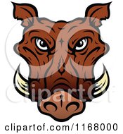 Poster, Art Print Of Brown Tusked Boar Head