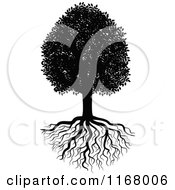 Poster, Art Print Of Black And White Tree And Roots