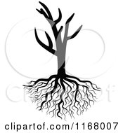 Poster, Art Print Of Black And White Bare Tree And Roots