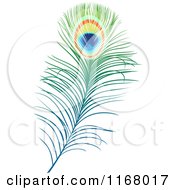 Clipart Of A Peacock Feather Royalty Free Vector Illustration by Vector Tradition SM