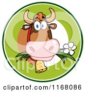 Poster, Art Print Of Cow Eating A Daisy Flower In A Green Circle