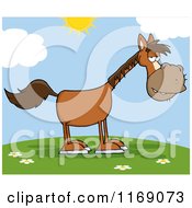 Poster, Art Print Of Old Brown Horse On A Hill